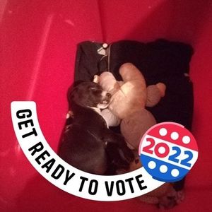 Meet your Posher, Sara mae